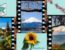 Traveling Mengesankan dari Bromo sampai Jepang